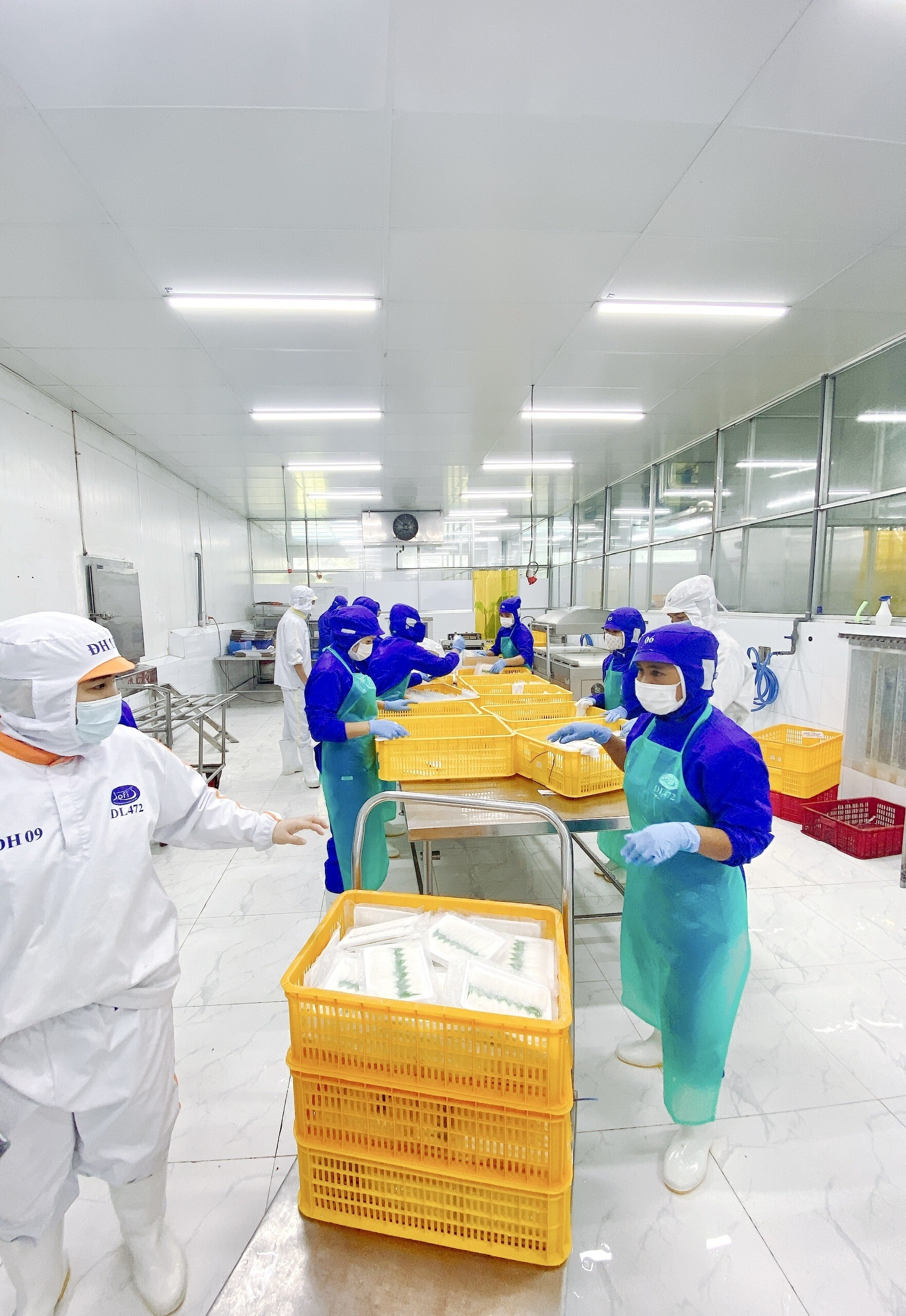 Thủy Sản Nam Thái Bình Dương 8