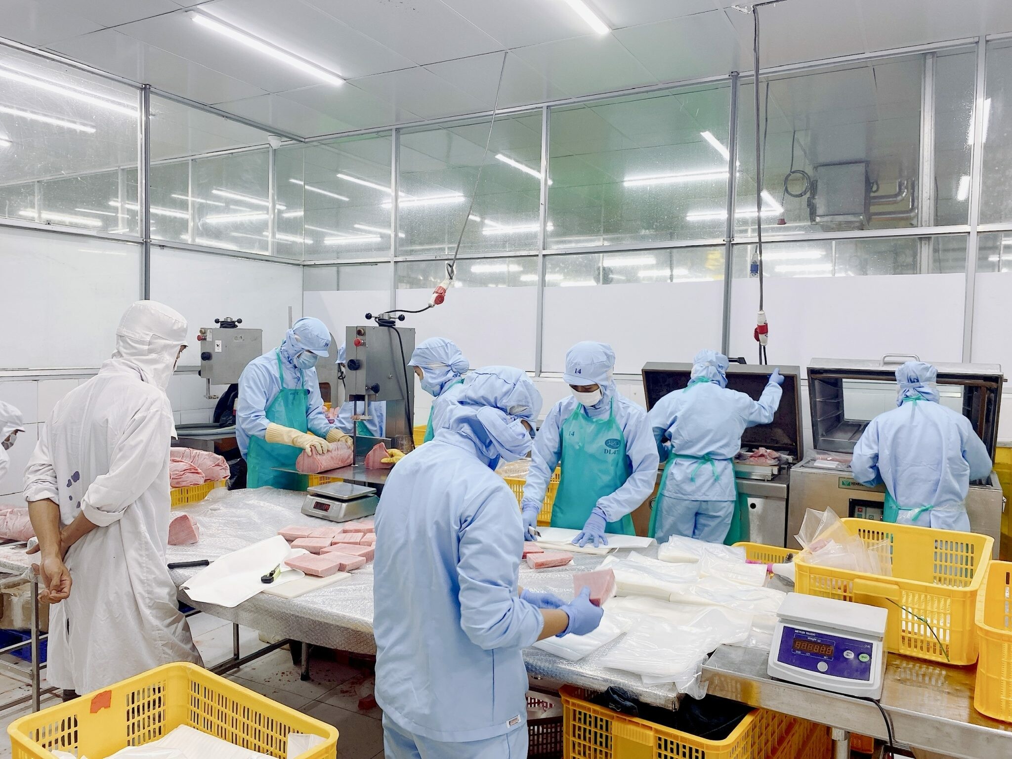 Thủy Sản Nam Thái Bình Dương 7