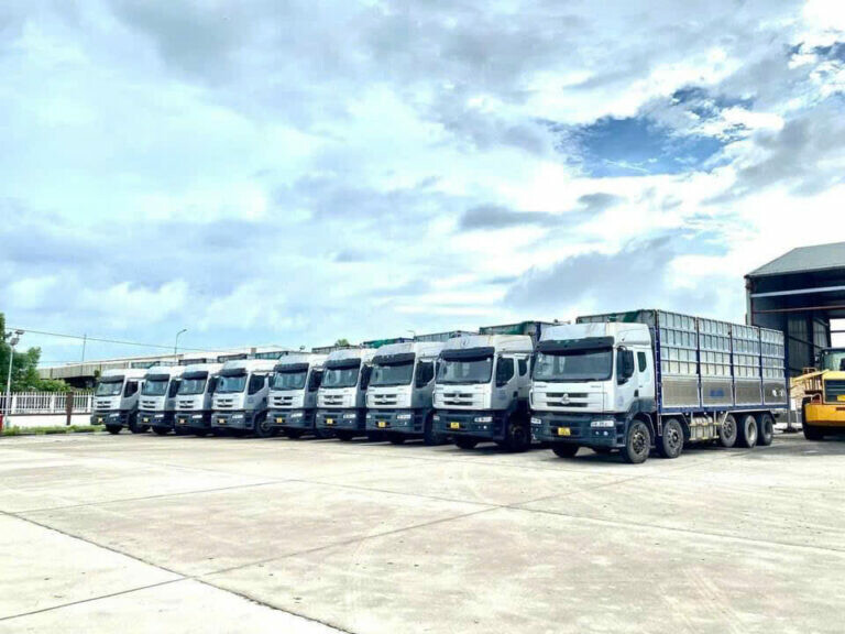 Dịch Vụ Tổng Hợp Tâm Phúc Thạnh - TPT Logistics 5
