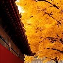 Golden Sea Hà Nội Travel 4