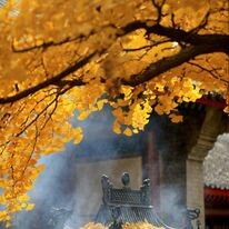 Golden Sea Hà Nội Travel 6