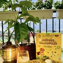 Dinh Dưỡng Hadalifa 4