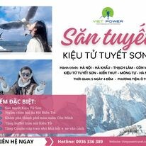 Vietpower Travel 12