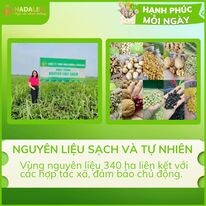 Dinh Dưỡng Hadalifa 9