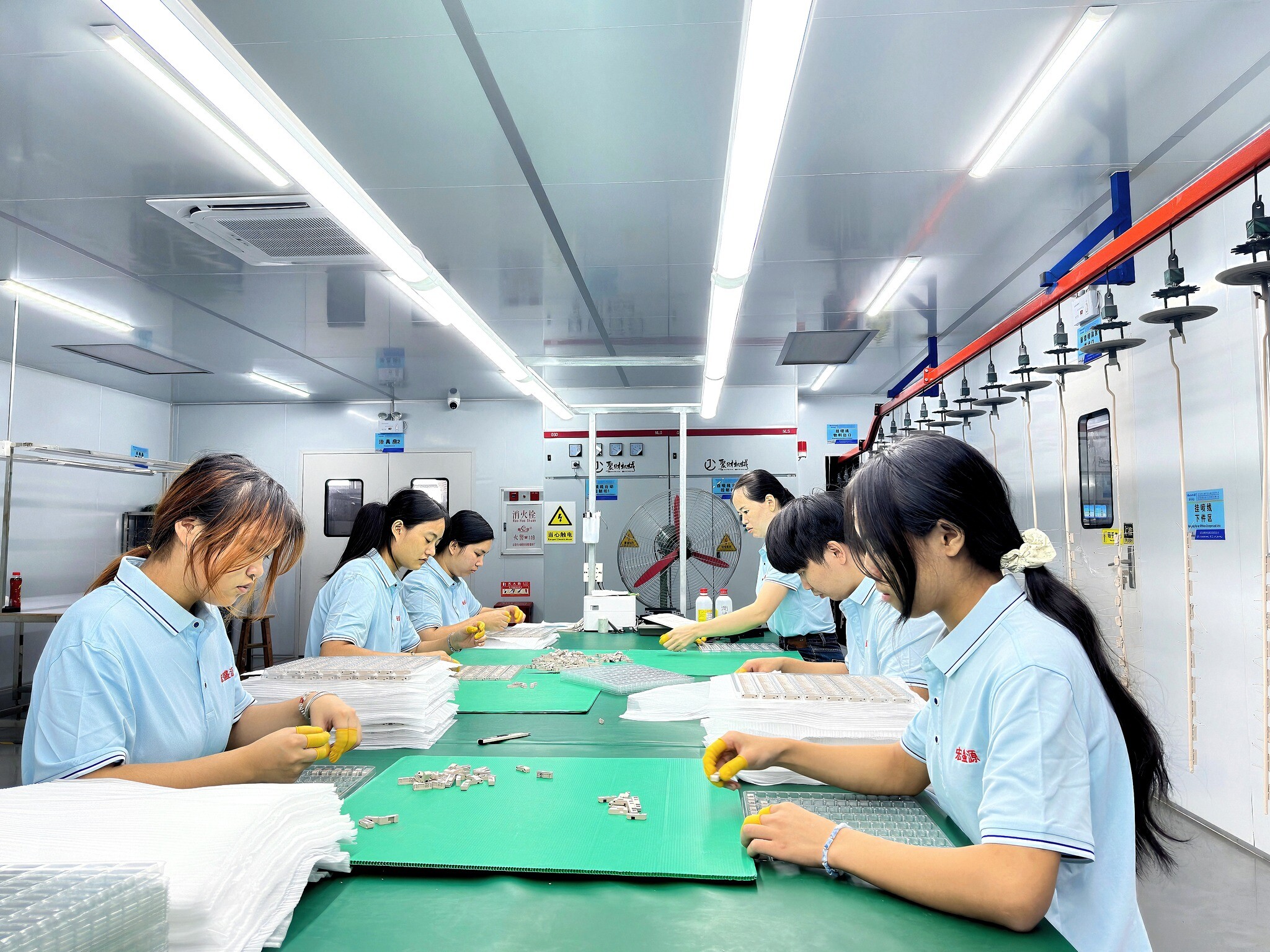 Maxswall Việt Nam 8