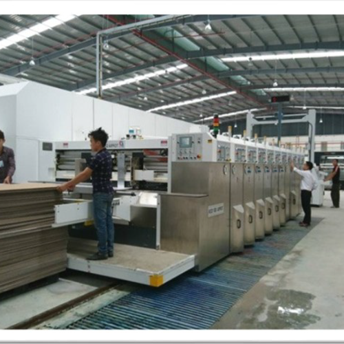 Bao Bì Khang Nguyễn 1