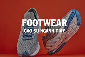 PERCHEM VIỆT NAM 1