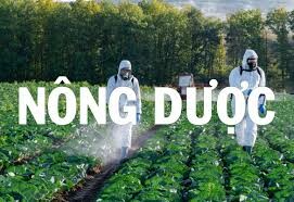 PERCHEM VIỆT NAM 9