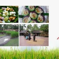 Công Ty Cổ Phần Dịch Vụ Du Lịch Bến Thành 7