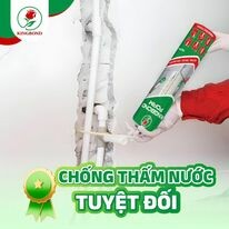 Kingbond Việt Nam 1
