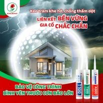 Kingbond Việt Nam 2