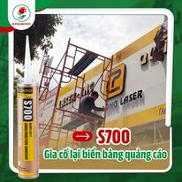 Kingbond Việt Nam 5