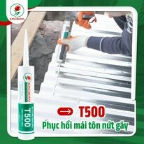 Kingbond Việt Nam 3
