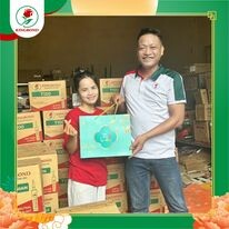 Kingbond Việt Nam 8