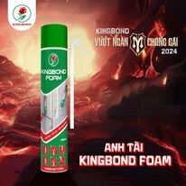 Kingbond Việt Nam 13