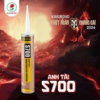 Kingbond Việt Nam 12