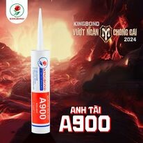 Kingbond Việt Nam 15