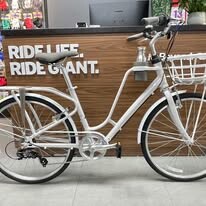 Giant Manufacturing Việt Nam 5