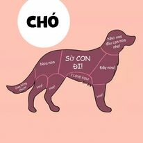 Ý tưởng 365 Việt Nam 6