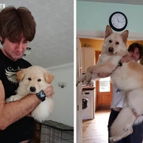 Ý tưởng 365 Việt Nam 7