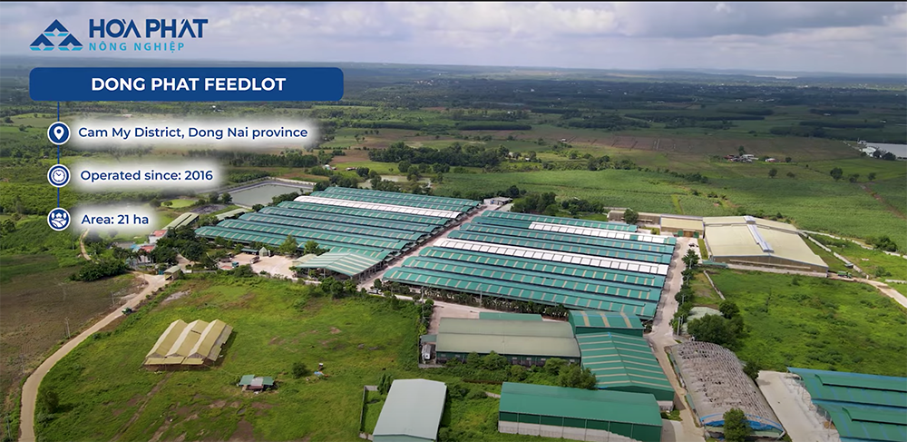 Thương Mại Hòa Phát 4