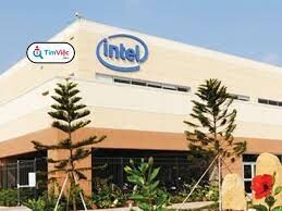 Intel Việt Nam 10