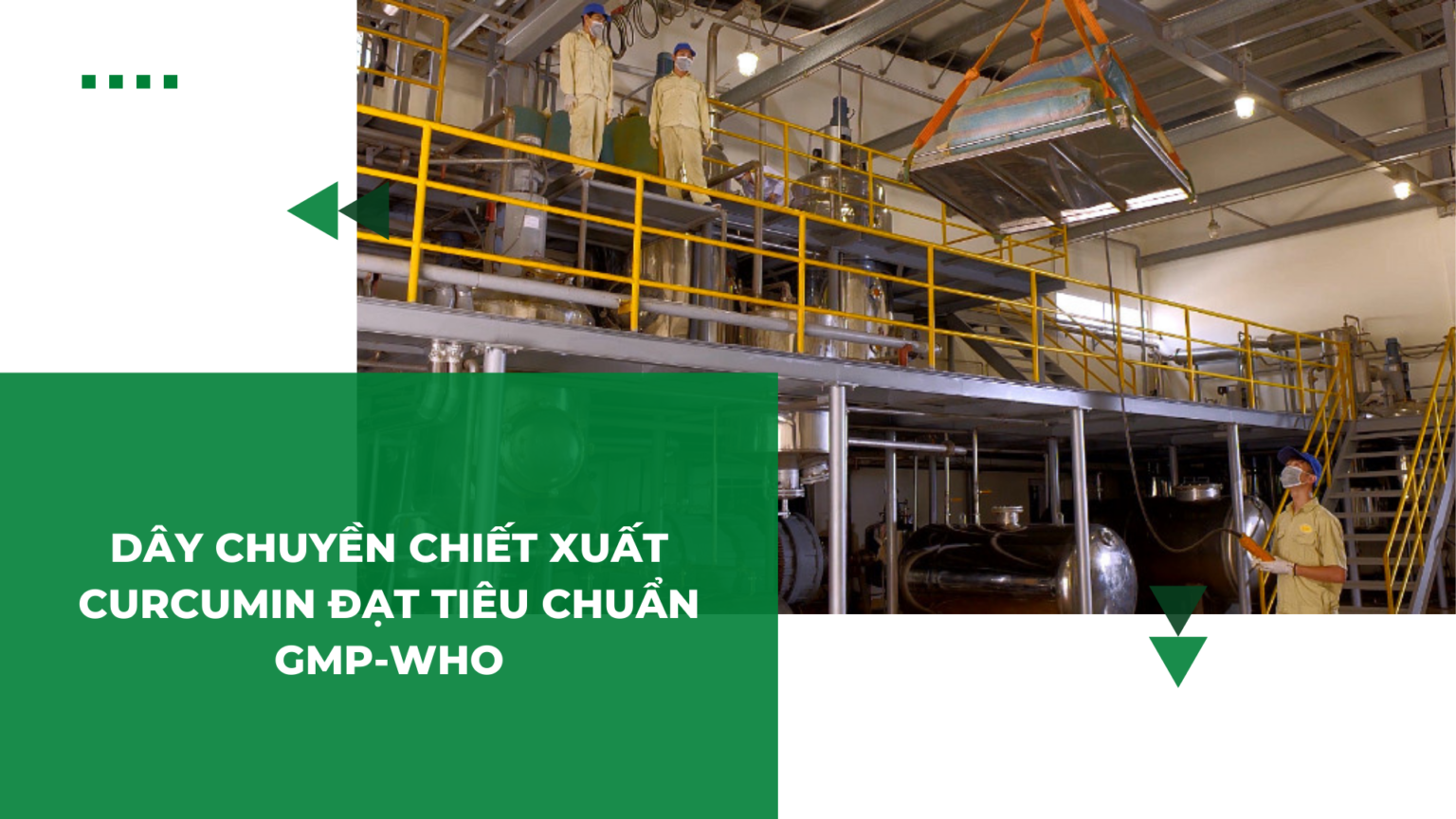 Dược phẩm Bắc Ninh - BANIPHAR 8