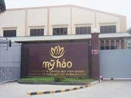 CÔNG TY CỔ PHẦN MỸ HẢO 1