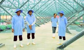 Thủy sản Việt Úc 7