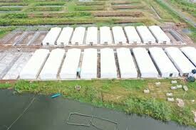 Thủy sản Việt Úc 8