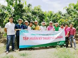 Công ty Hợp Trí 8