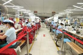 Tổng công ty Đức Giang 8