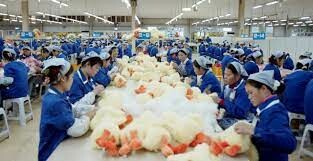 SỨC BẬT SPIRAL 3