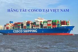 Cosco Shipping LINES 9