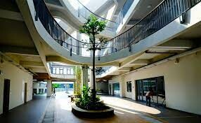 SenTia School Việt Nam 10