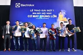 ELECTROLUX VIỆT NAM 4