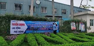 Vinasolar Technology 4