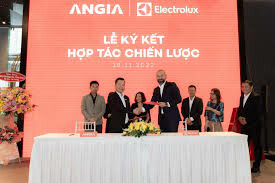 ELECTROLUX VIỆT NAM 6