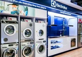 ELECTROLUX VIỆT NAM 8