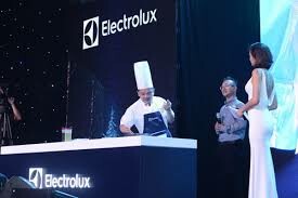 ELECTROLUX VIỆT NAM 10