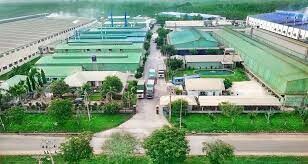 Luyện Kim Thăng Long 10