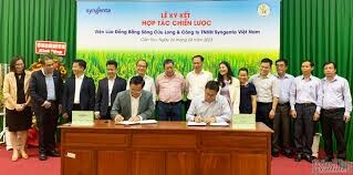 Syngenta Việt Nam 1