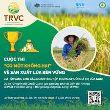 SNV Netherlands Development Organisation 4