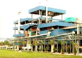 Wilmar Agro Việt Nam 6