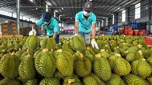 Nguyên Liệu Thực Phẩm Hoàng Anh - Hoàng Anh Flavor 6