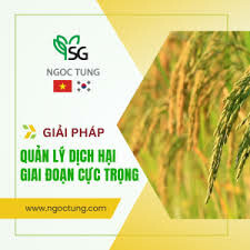 Công Ty Thương mại & Dịch vụ Ngọc Tùng 6