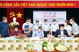 Trái Cây Hùng Phát 3