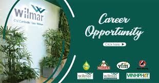 Wilmar Marketing CLV 4