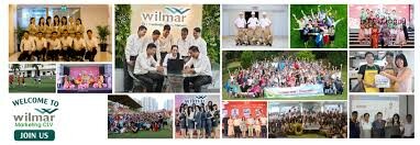 Wilmar Marketing CLV 1