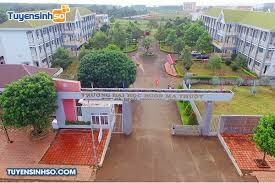 TRƯỜNG ĐẠI HỌC Y DƯỢC BUÔN MA THUỘT (BMTU) 1